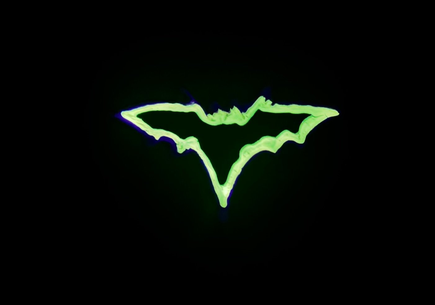   Bat Logo